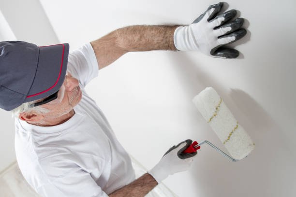 Best Mold Removal for HVAC Installations  in Vinton, TX